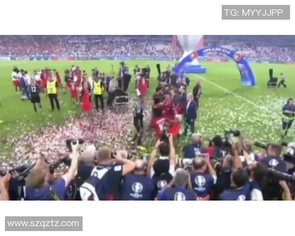 2016欧洲杯精彩回顾法国与德国的巅峰对决与足球传奇交锋