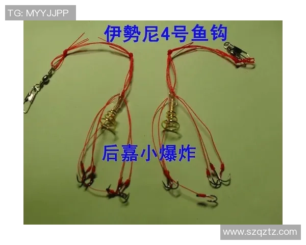 钓王鱼具户外体育用品助你畅享钓鱼乐趣与自然之美的完美结合